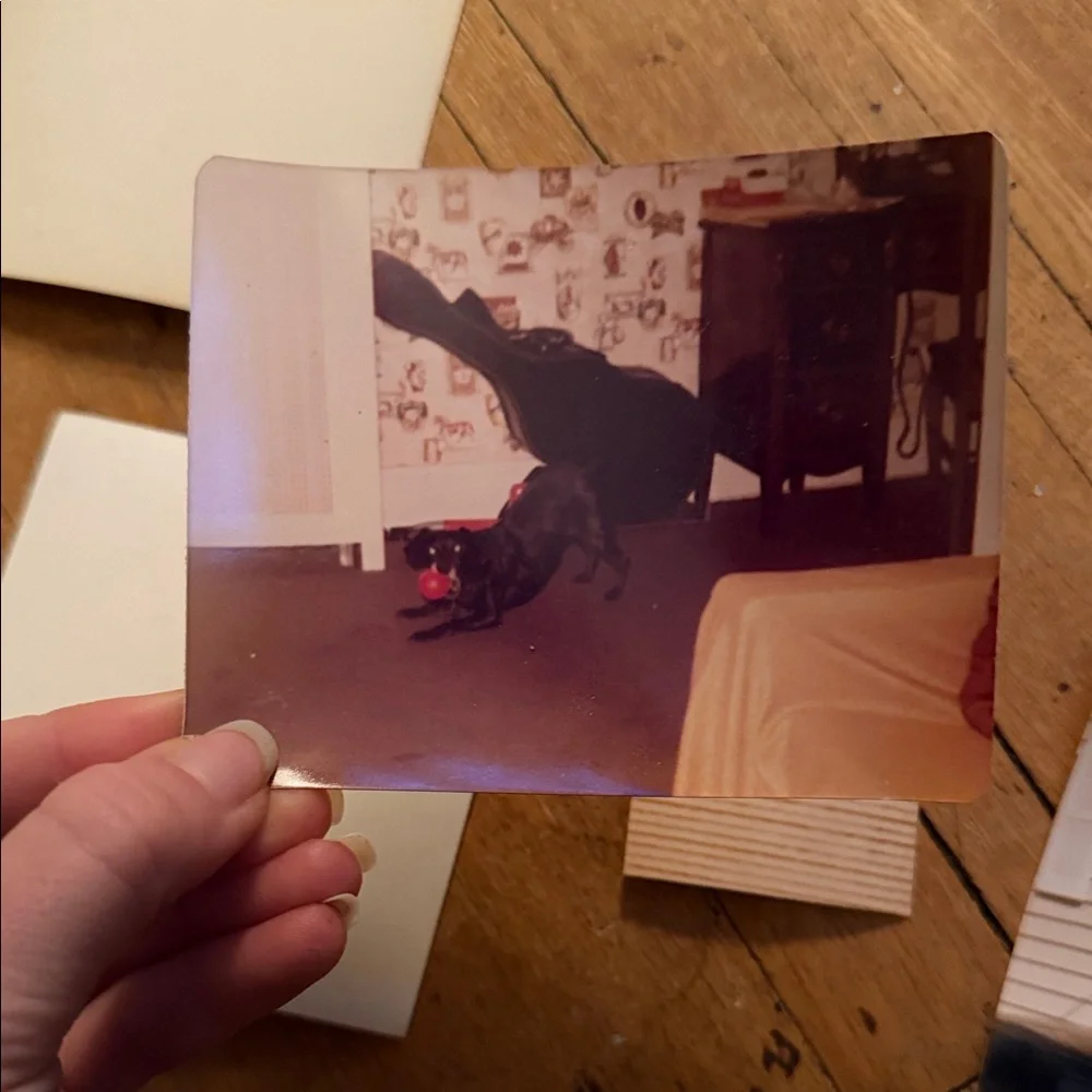 Vintage Photo Collection